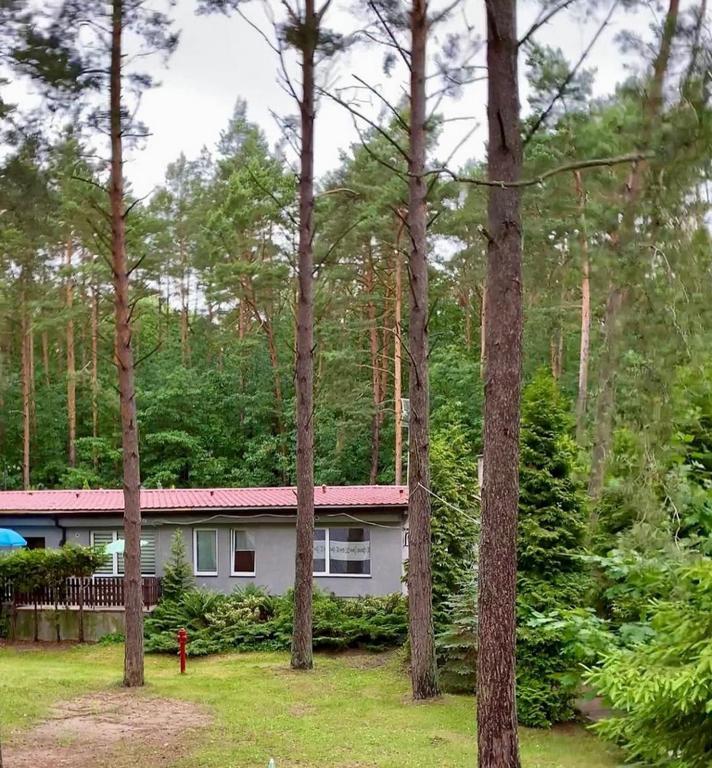 Osrodek Wypoczynkowy Zakatek Villa คอนเตเรบาสเก ภายนอก รูปภาพ
